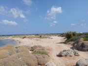 Stavros Ein wirklich erstaunliches Grundstück am Meer in Stavros, Chania Grundstück kaufen